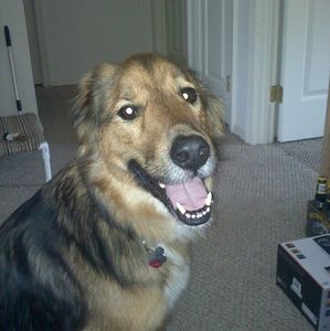 Meet your Posher, James